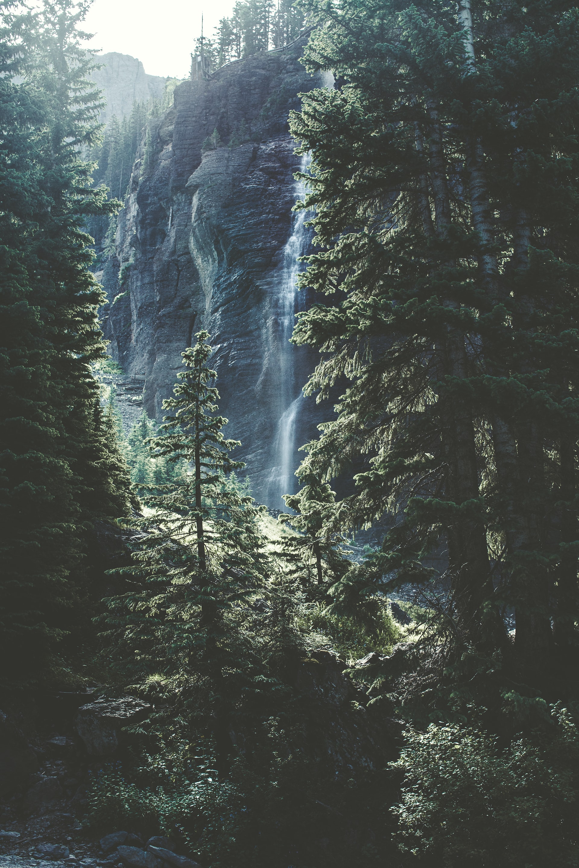 nature